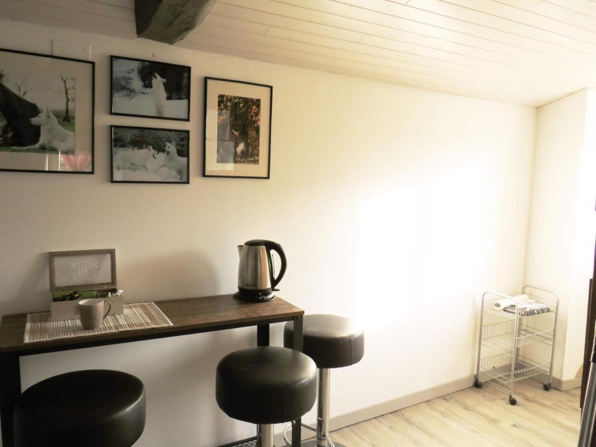 Apartament Domaine Des Fees La Gaubretiere Zewnętrze zdjęcie