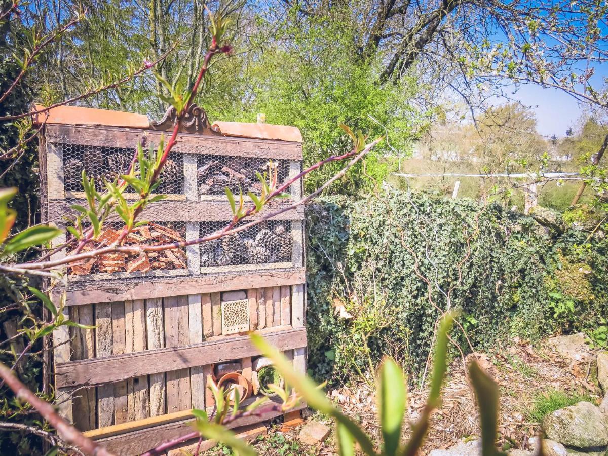 Apartament Domaine Des Fees La Gaubretiere Zewnętrze zdjęcie